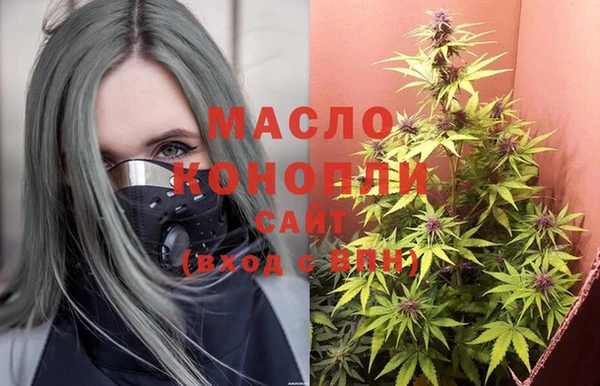 ГАЛЛЮЦИНОГЕННЫЕ ГРИБЫ Лагань